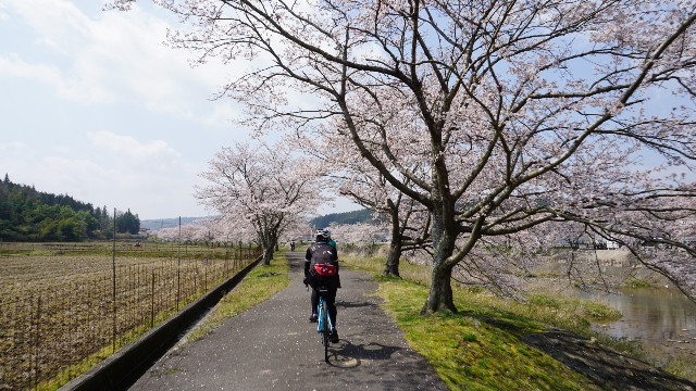 f:id:NACHUN:20190410211431j:image f:id:NACHUN:20190410211431j:image