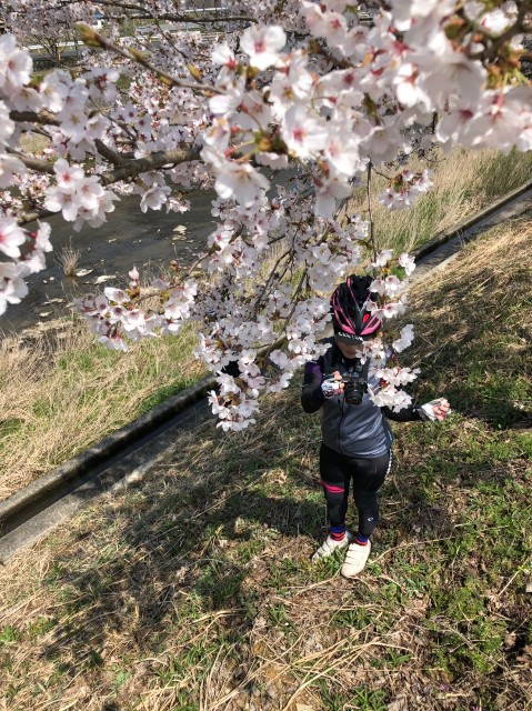 f:id:NACHUN:20190410211839j:image f:id:NACHUN:20190410211839j:image