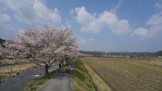 f:id:NACHUN:20190410212011j:image f:id:NACHUN:20190410212011j:image