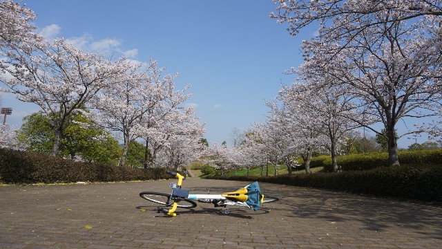 f:id:NACHUN:20190410212111j:image f:id:NACHUN:20190410212111j:image