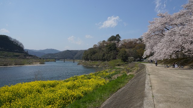 f:id:NACHUN:20190410212426j:image f:id:NACHUN:20190410212426j:image