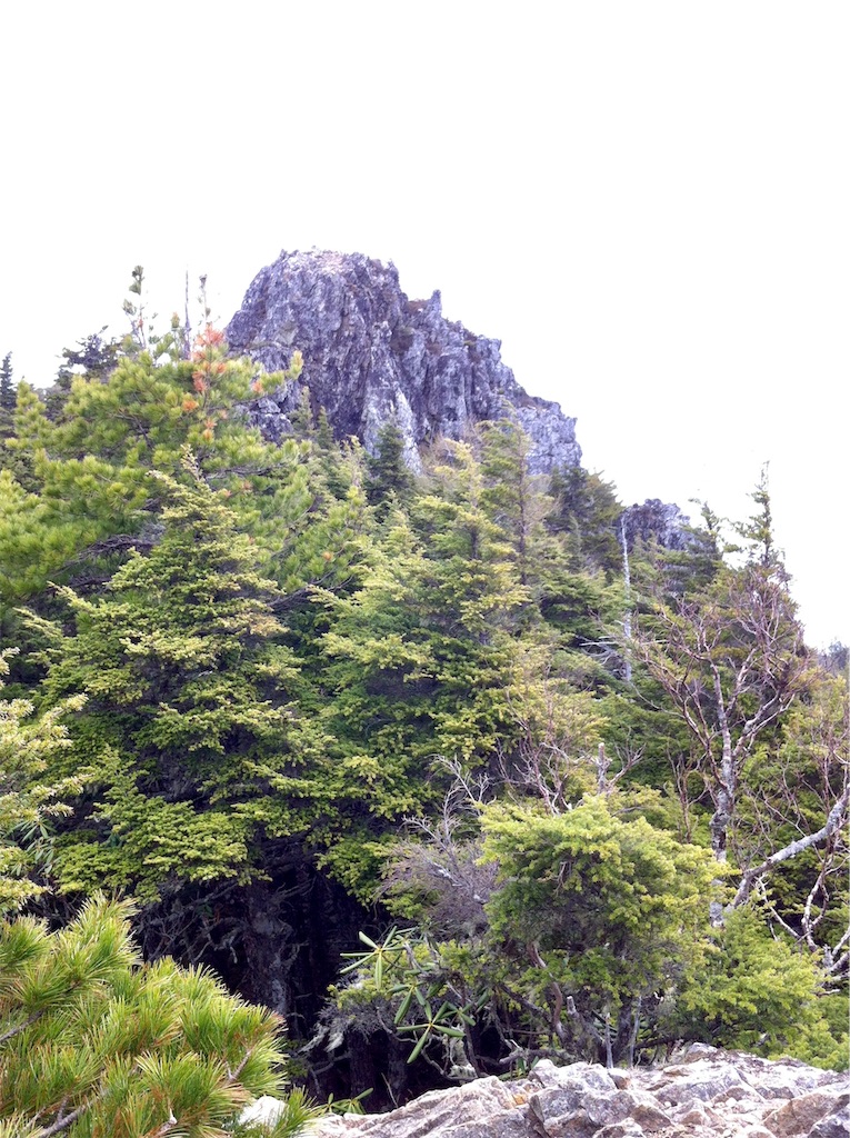 f:id:NACK-y:20191004040649j:image