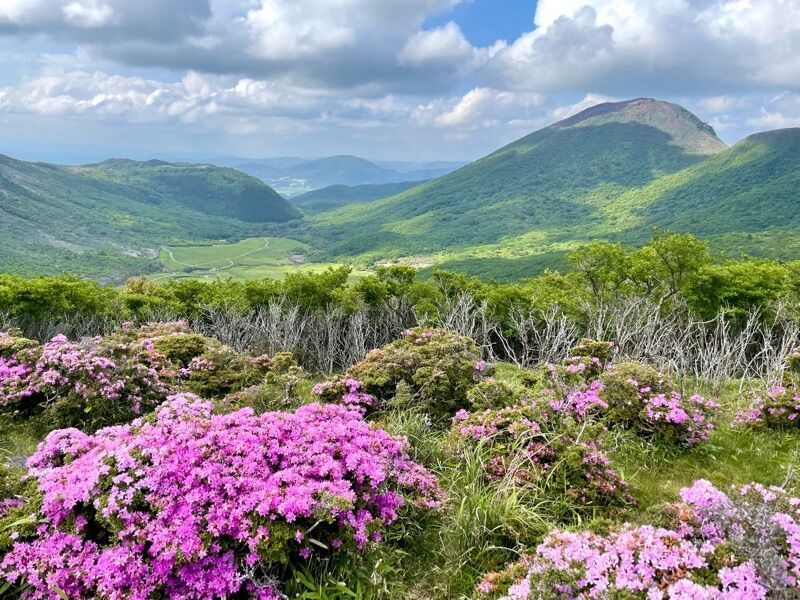 f:id:NACK-y:20240610182737j:image