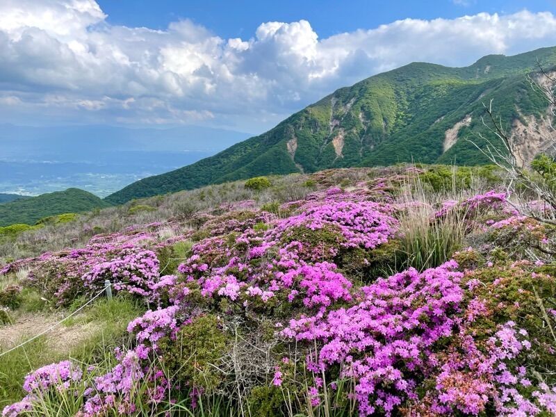 f:id:NACK-y:20240610182911j:image