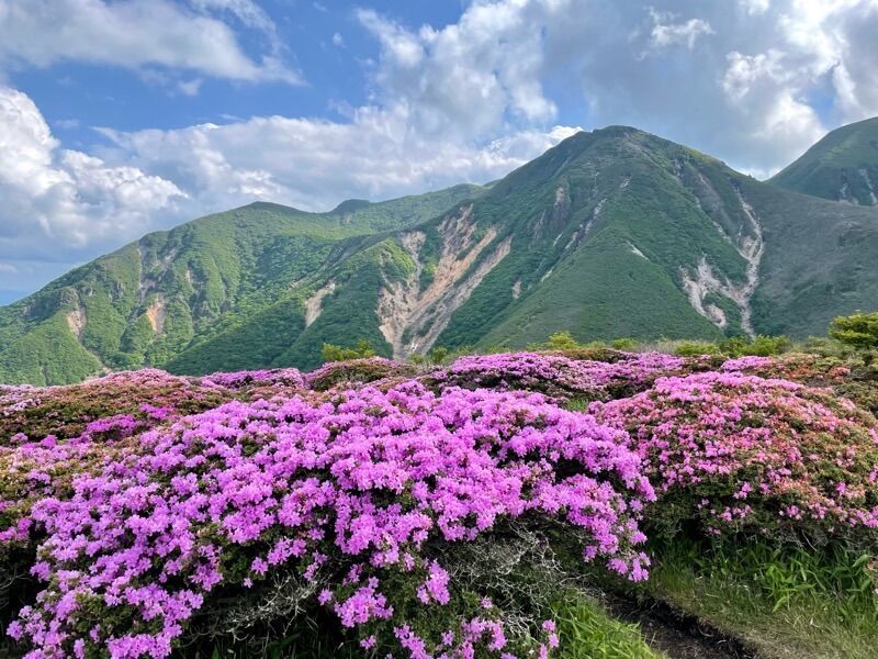 f:id:NACK-y:20240610183241j:image