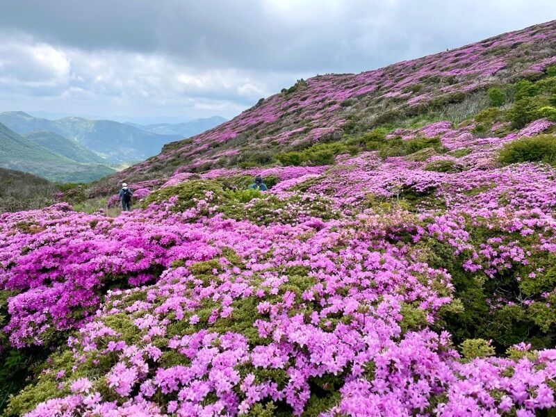 f:id:NACK-y:20240612212315j:image