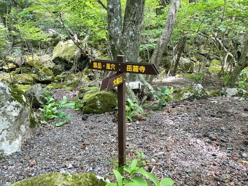 平治岳〜黒岳】男池から坊ガツルテント泊で周回。ミヤマキリシマ満開の