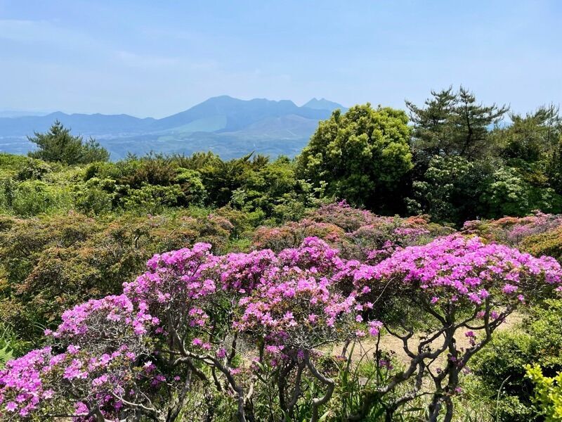 連なる山 連なる山 レーニア山の頂上、ワシントン州（1997年