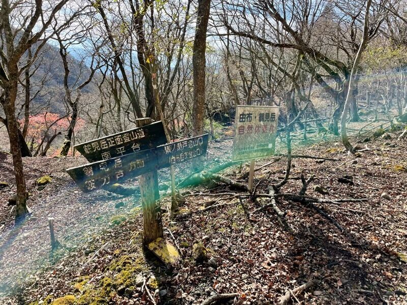 f:id:NACK-y:20250504225252j:image