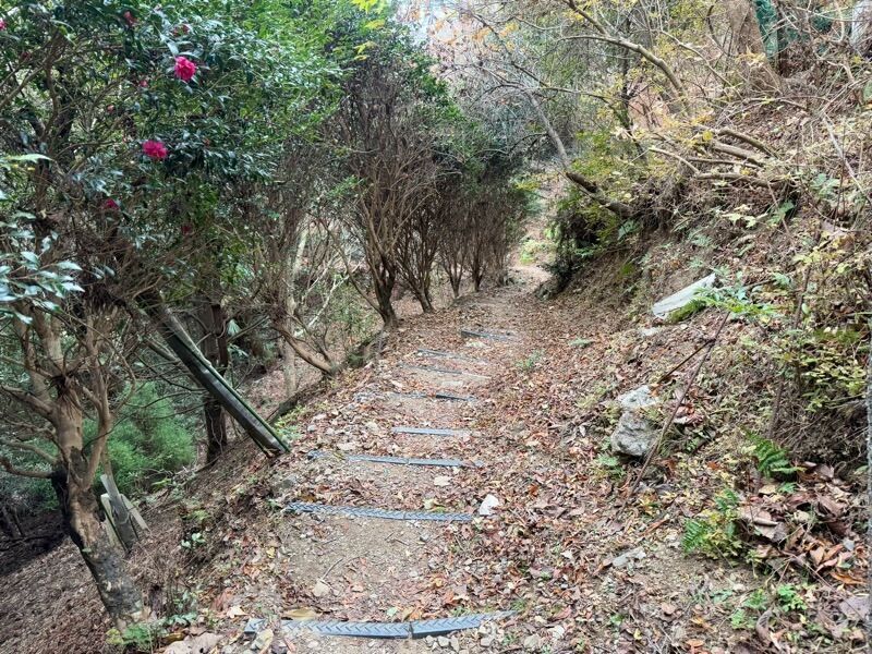 f:id:NACK-y:20250616205556j:image