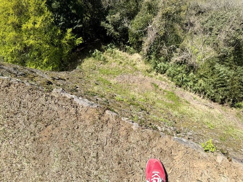 f:id:NACK-y:20260120120658j:image