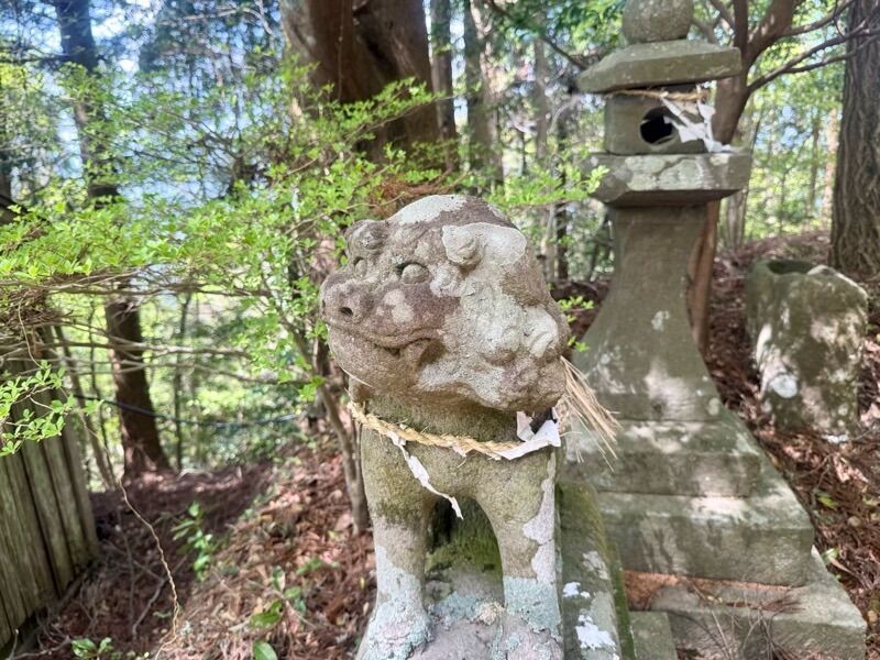 f:id:NACK-y:20260217023251j:image