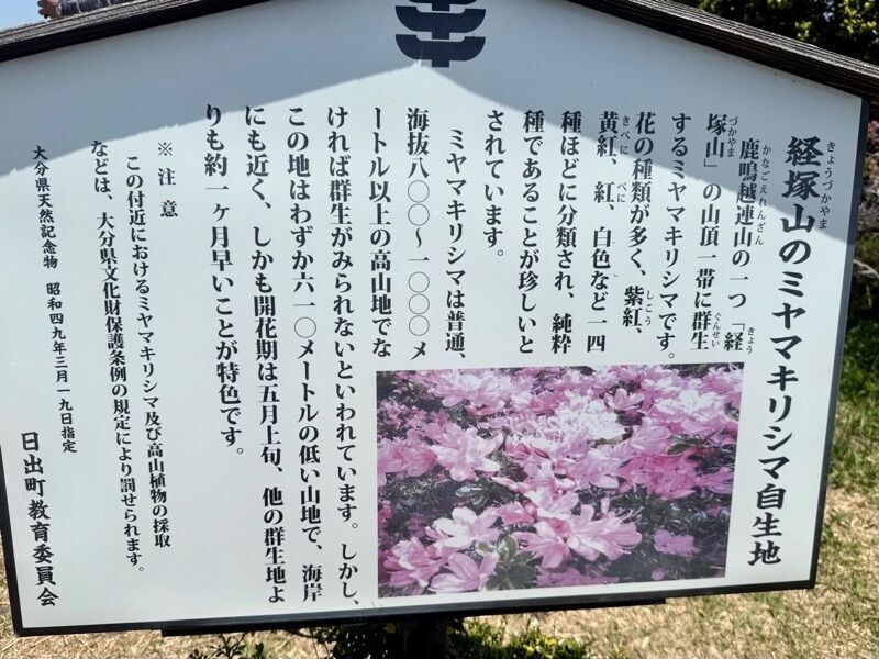 f:id:NACK-y:20260405010537j:image