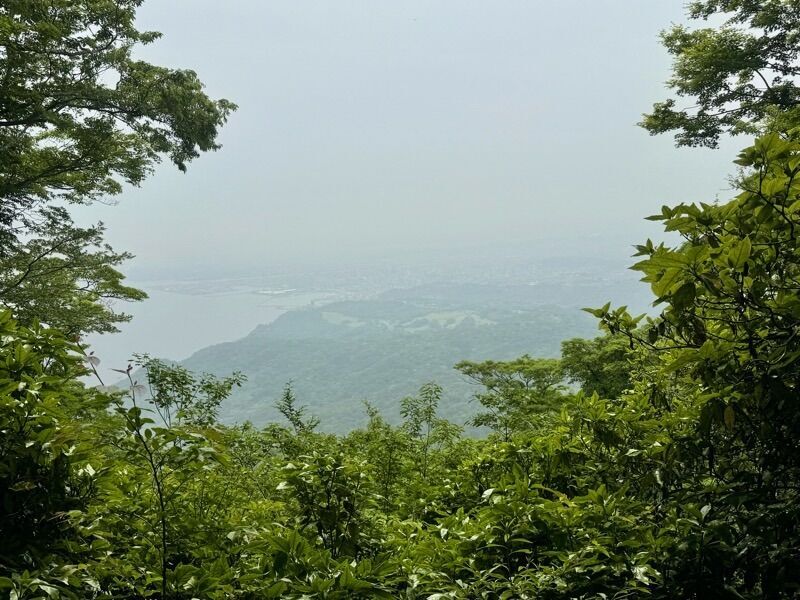 f:id:NACK-y:20260419114201j:image
