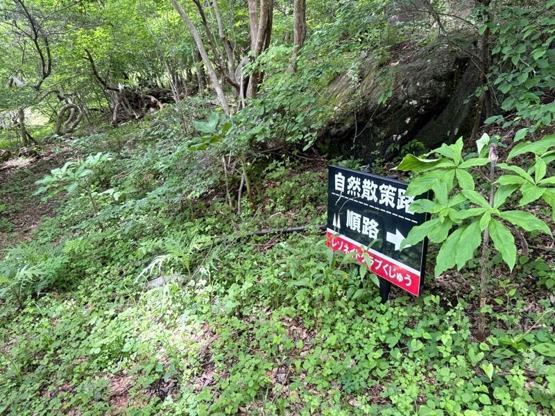 f:id:NACK-y:20260507033643j:image
