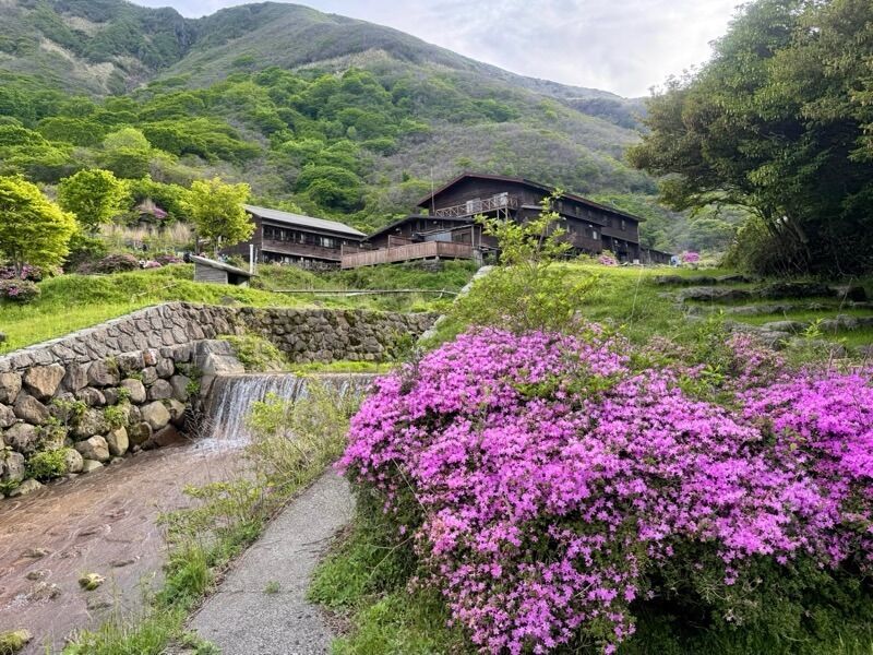f:id:NACK-y:20260519155330j:image