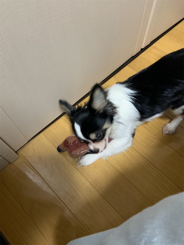 f:id:NAGASEKAI:20200222140931j:image f:id:NAGASEKAI:20200222140931j:image