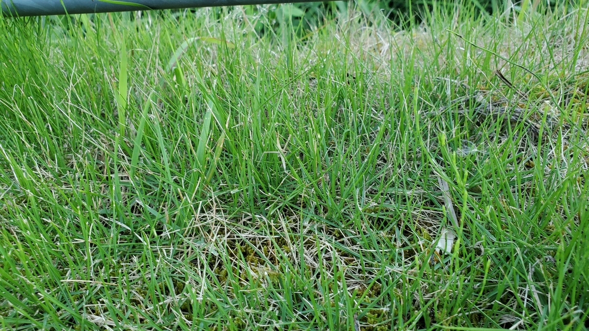 f:id:NAGOBUROGU:20200622225325j:plain