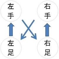 四足歩行は基本的に２パターン ナマオの四足研究所