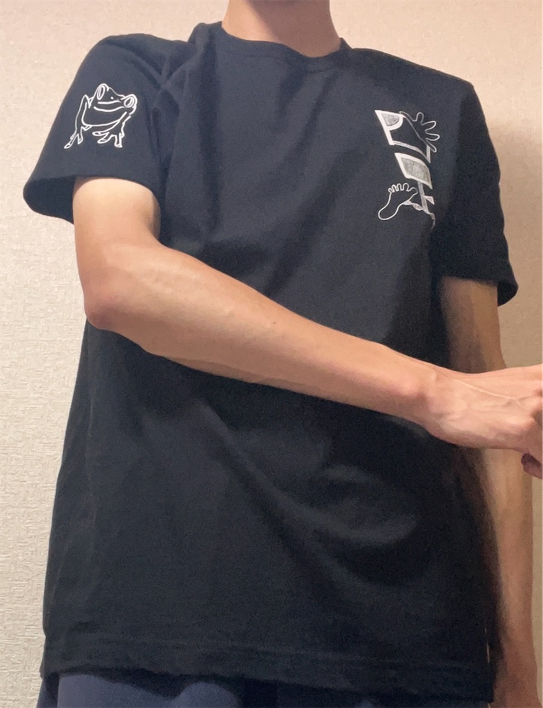 f:id:NAMAO:20250823170921j:image
