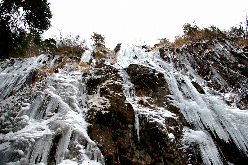 f:id:NAMARI:20110125231402j:image f:id:NAMARI:20110125231402j:image