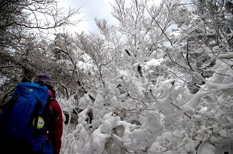 f:id:NAMARI:20110125231405j:image f:id:NAMARI:20110125231405j:image