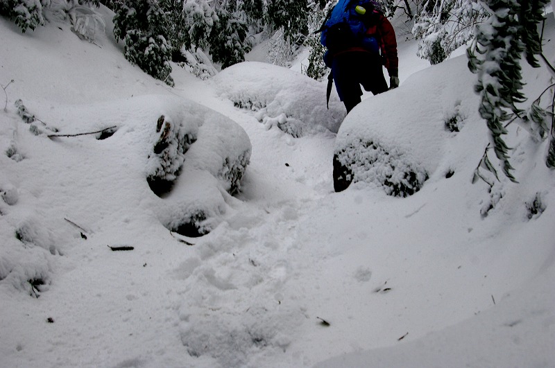 f:id:NAMARI:20110125231409j:image f:id:NAMARI:20110125231409j:image
