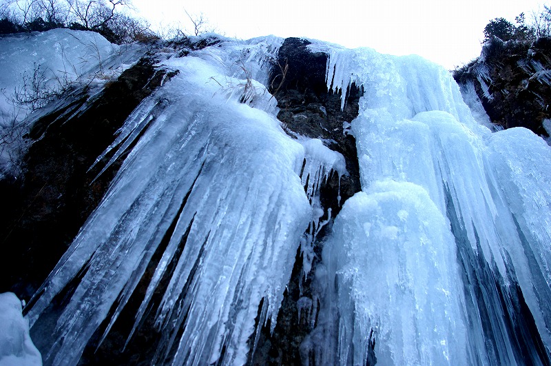 f:id:NAMARI:20110304234817j:image