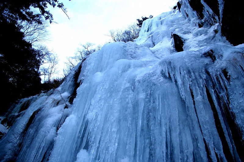 f:id:NAMARI:20110304234825j:image