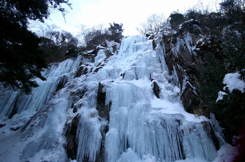 f:id:NAMARI:20110304234826j:image