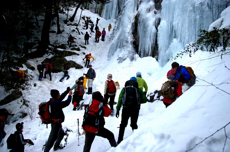 f:id:NAMARI:20110304234830j:image