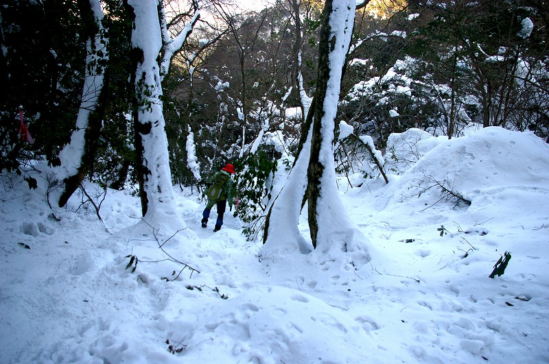 f:id:NAMARI:20110304234833j:image