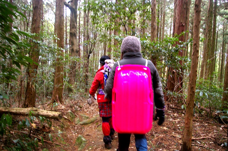 f:id:NAMARI:20110306105351j:image f:id:NAMARI:20110306105351j:image