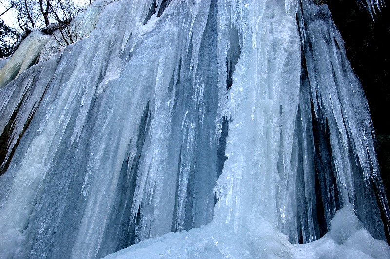 f:id:NAMARI:20110306105358j:image f:id:NAMARI:20110306105358j:image