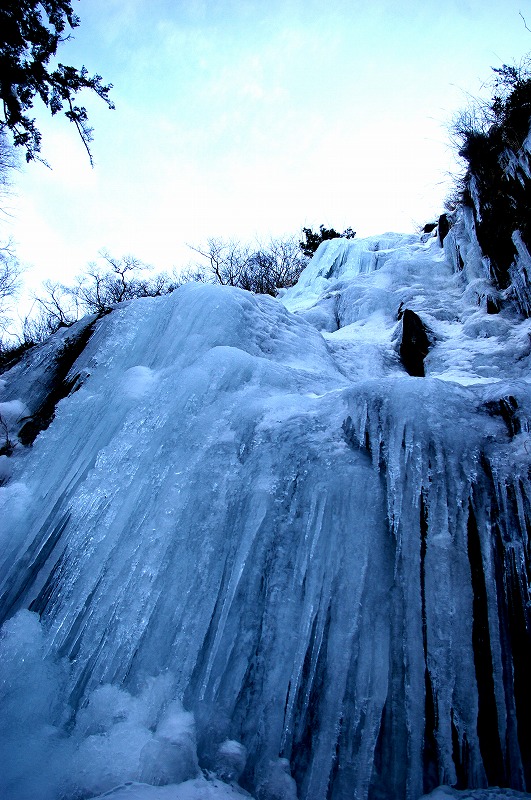 f:id:NAMARI:20110306105401j:image f:id:NAMARI:20110306105401j:image