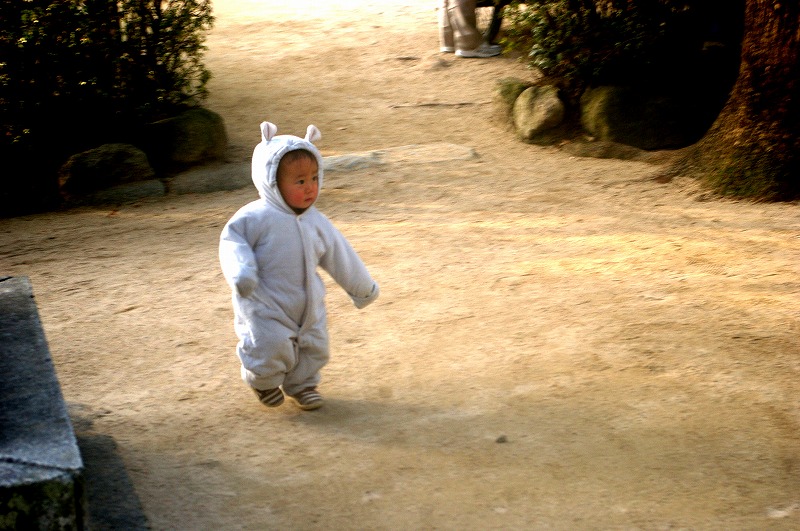 f:id:NAMARI:20110307223803j:image