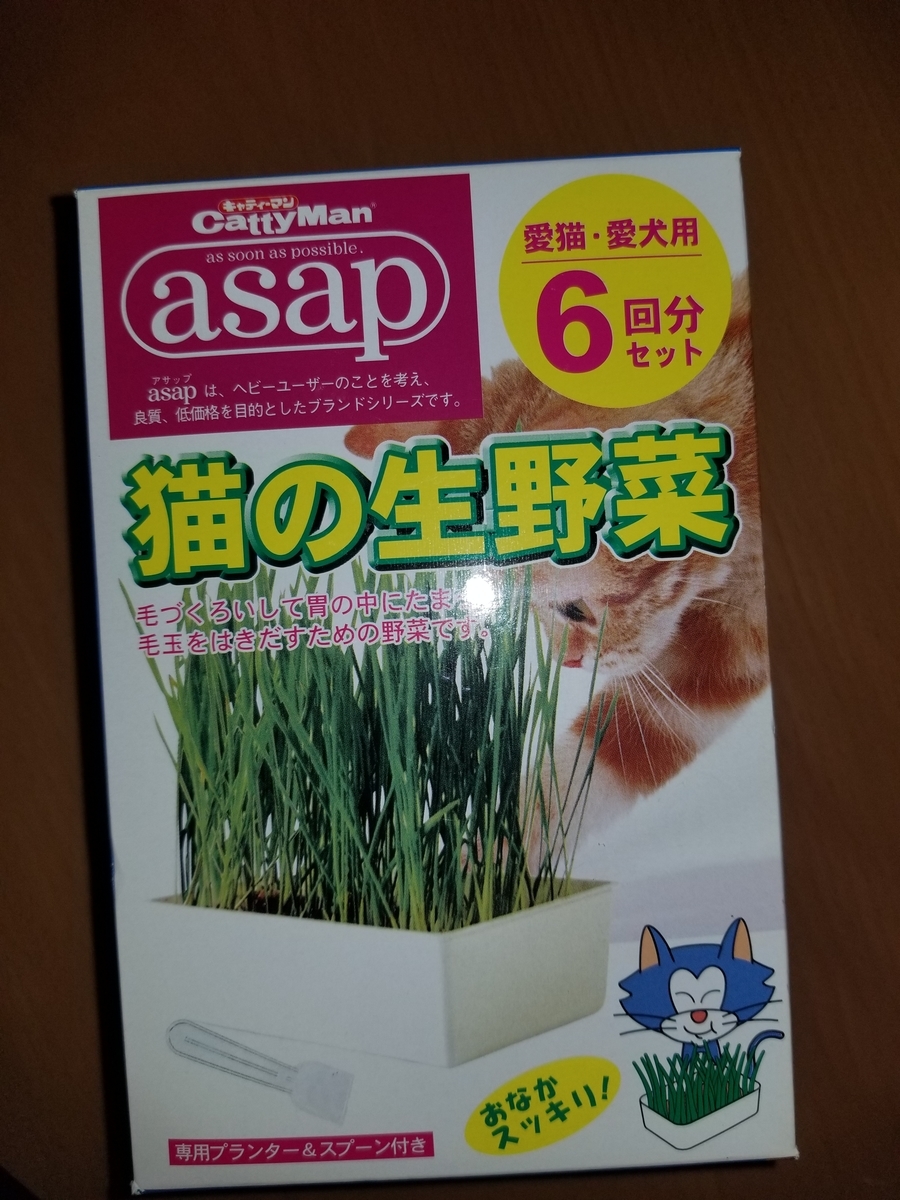 f:id:NANNCHATTENARSEMIMI:20200316164055j:plain f:id:NANNCHATTENARSEMIMI:20200316164055j:plain