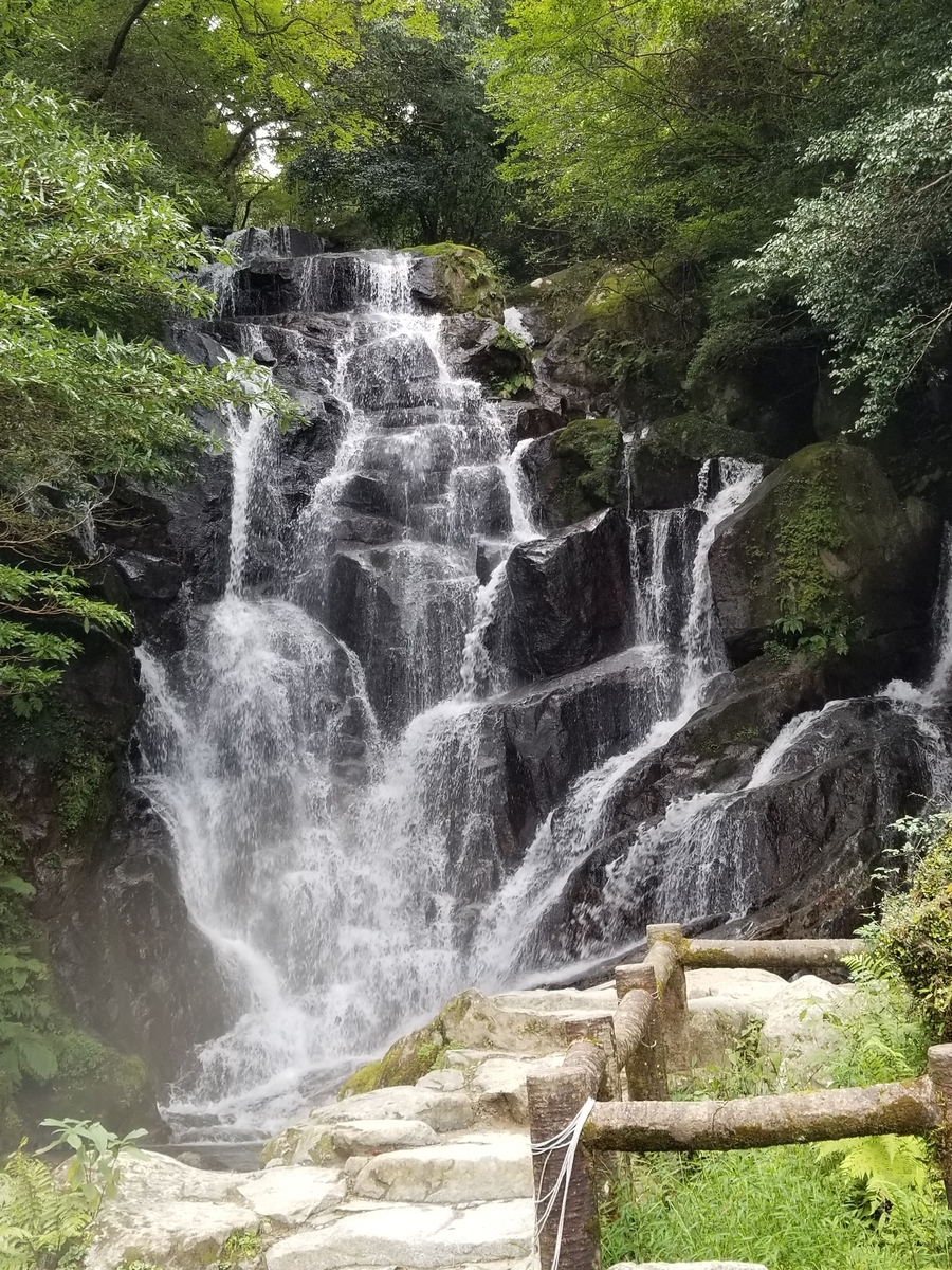 f:id:NANNCHATTENARSEMIMI:20201006002207j:plain f:id:NANNCHATTENARSEMIMI:20201006002207j:plain