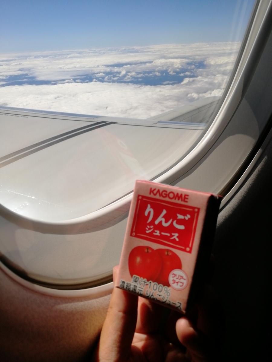 f:id:NANTAKU:20191117214718j:plain f:id:NANTAKU:20191117214718j:plain