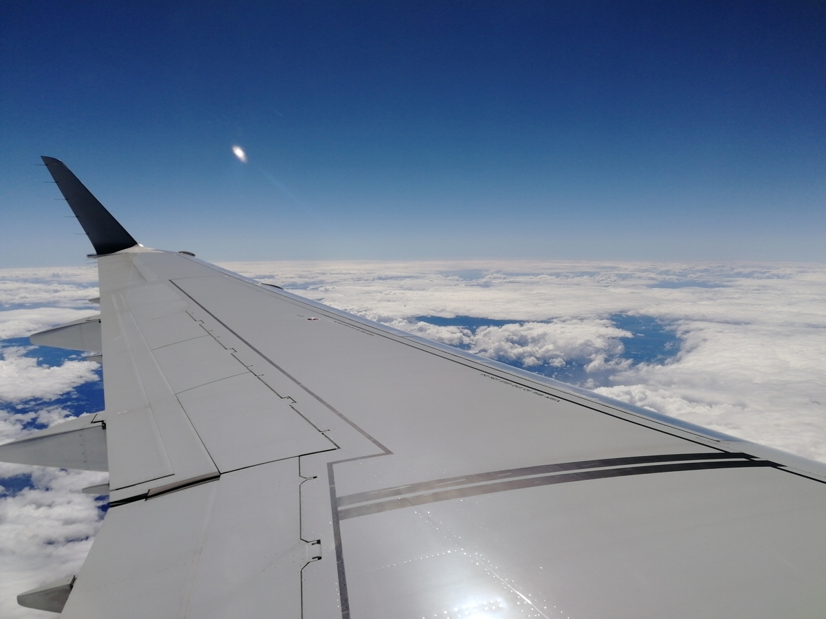 f:id:NANTAKU:20191117214847j:plain f:id:NANTAKU:20191117214847j:plain