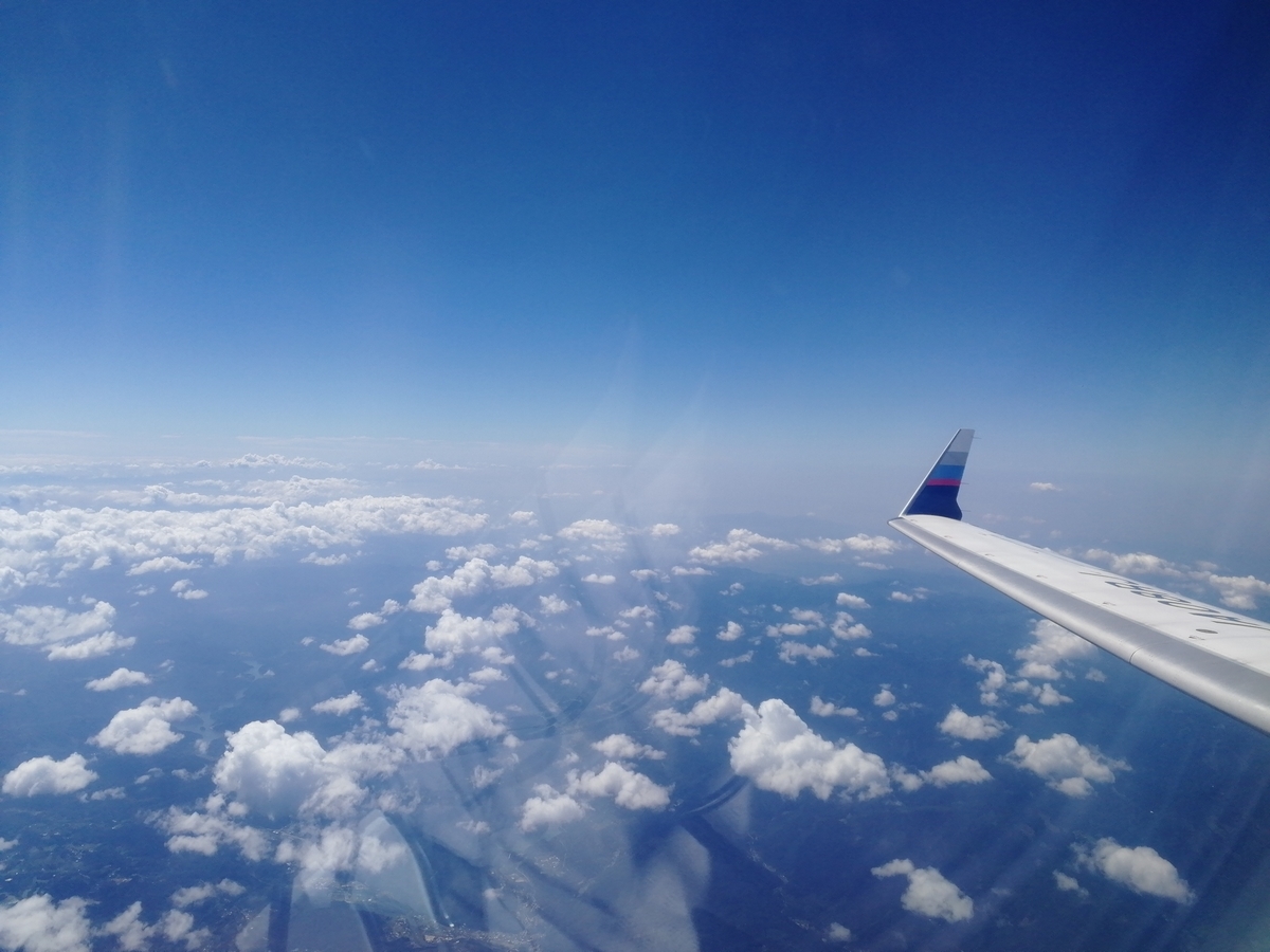 f:id:NANTAKU:20191117215432j:plain f:id:NANTAKU:20191117215432j:plain