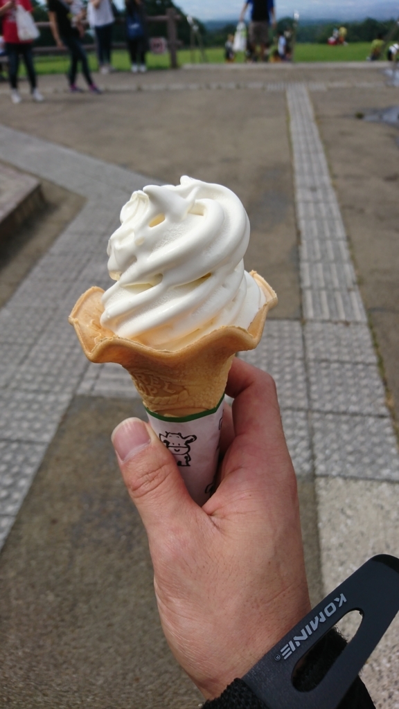 最低限の仕事はやった(Daytona675にスマホマウントだけ付けまし