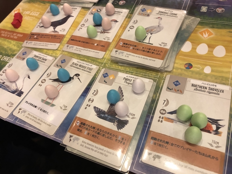 f:id:NAPOPORA:20190601224404j:plain f:id:NAPOPORA:20190601224404j:plain
