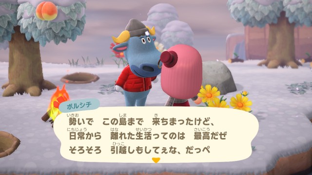 f:id:NARURU:20210105101151j:image f:id:NARURU:20210105101151j:image