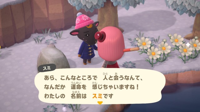 f:id:NARURU:20210105101229j:image f:id:NARURU:20210105101229j:image