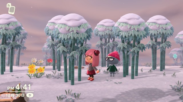 f:id:NARURU:20210105101301j:image f:id:NARURU:20210105101301j:image