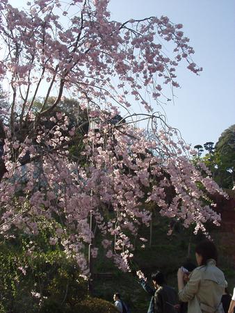 f:id:NAT:20050409151540:image