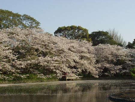 f:id:NAT:20050409163700:image