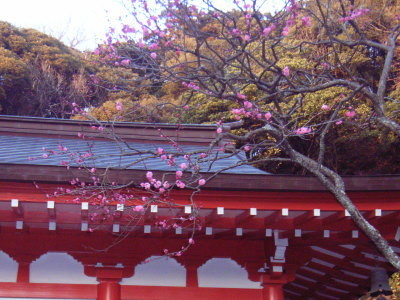 f:id:NAT:20060211213403j:image:w200