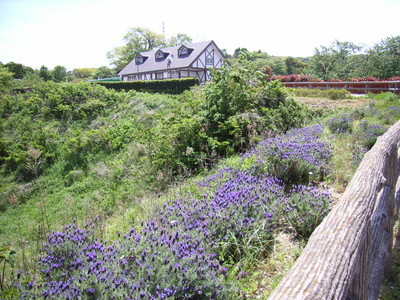 f:id:NAT:20060506123225j:image